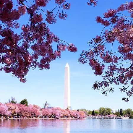 The Westin Washington, D.C. City Center 
